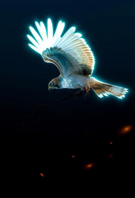 JNANX,luminous white silhouette,cyan glow,emerald highlights,flickering outline,dreamlike movement,rippling colors,drifting embers,infinite black background,psychedelic colors,ethereal,futuristic surrealism,gw,glowing,night,night sky,trippy,
A medium-sized bird of prey with brown and tan plumage, broad wings, and a hooked beak is flying in a clear blue sky while carrying a long, thin branch in its talons.
