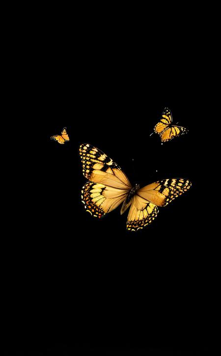 cinematic film still smart phone with butterfly, HD third-party edit, masterpiece, best quality, butterfly hair ornament,  . shallow depth of field, vignette, highly detailed, high budget, bokeh, cinemascope, moody, epic, gorgeous, film grain, grainy