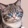 DragAIxxx's Avatar