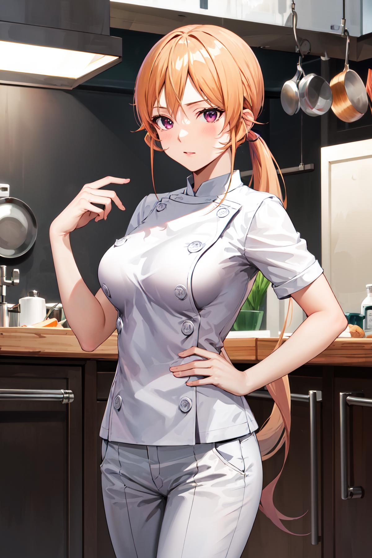 Nakiri Erina 薙切えりな / Shokugeki no Soma - v1.0 | Stable Diffusion LoRA ...