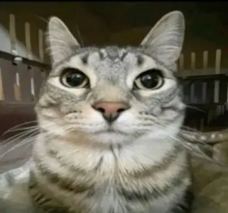 HariboPyong's Avatar