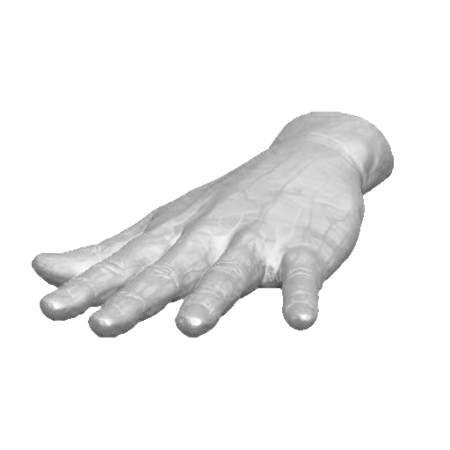 pp_hands01_08.png