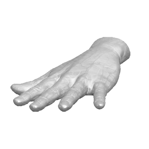 pp_hands01_08.png