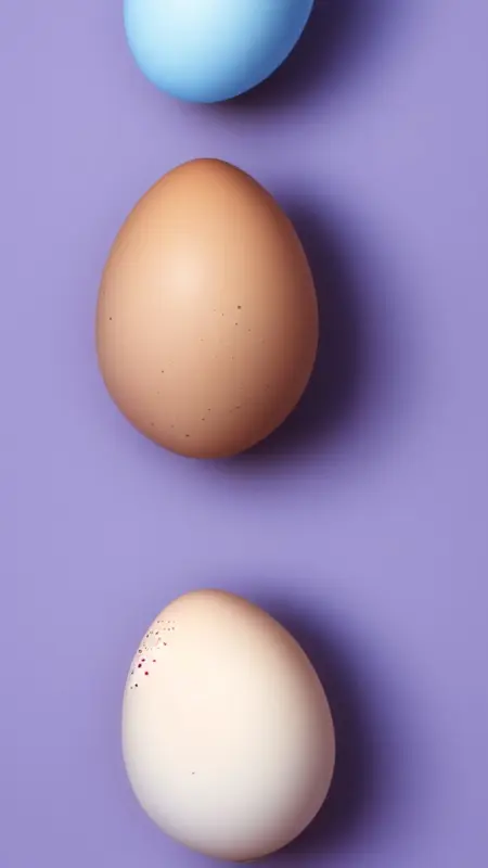 EGGS