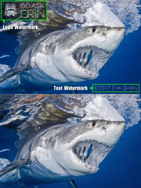 Batch Watermark Remover Workflow (Flux Kontext)
