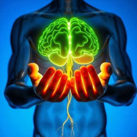 transparent human figure holding hands in front of him, brain made of glowing green lines, golden lines of light going from brain to hands, blue background, close-up, side view, nervous system,