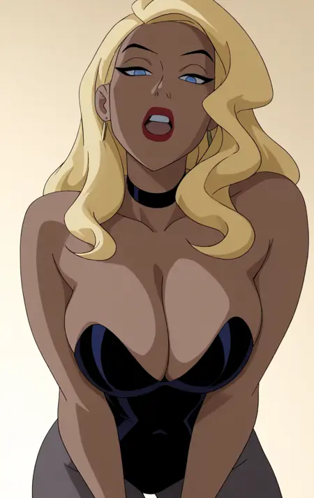 Black Canary from Justice League Unlimited
