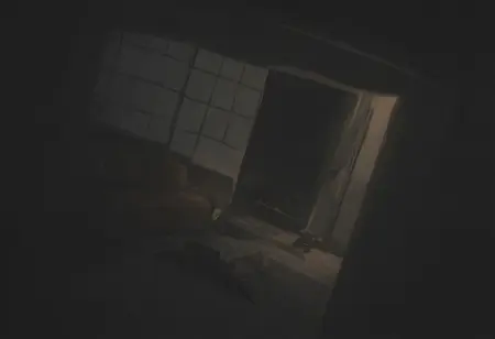 theholehomie's Avatar