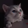 Fluffplz's Avatar