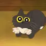 GeneralWolfKing's Avatar