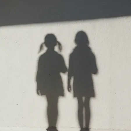 Shadow
