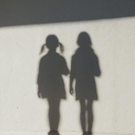 Shadow V1