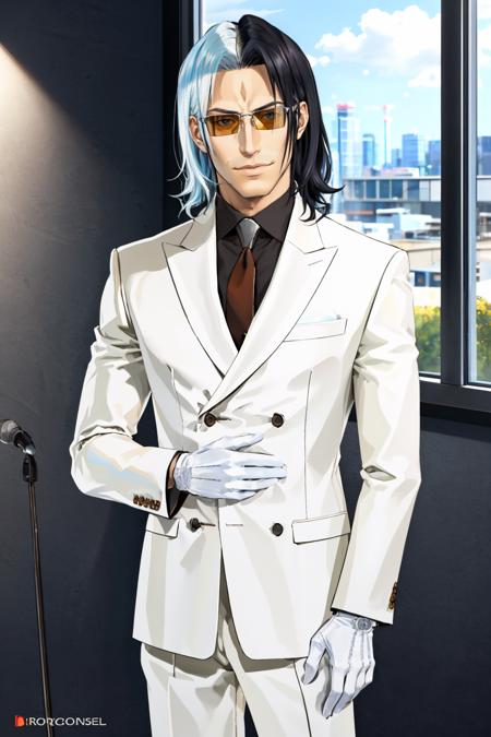 masterpiece, best quality, upper body, cowboy shot, office
<lora:zs_Kadokura:1> kadokurash, black hair, white hair, multicolored hair, sunglasses, suit, necktie, white gloves, shoes