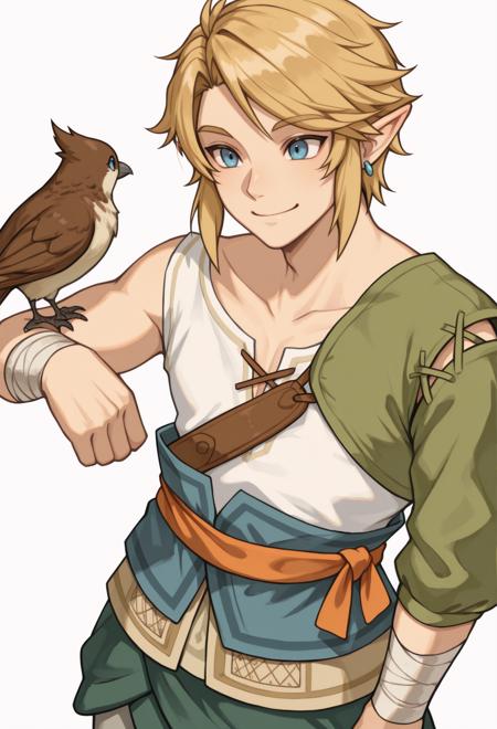 Link (The Legend of Zelda: Twilight Princess) |2 Outfits| [Illustrious] Character Lora Ordon V1