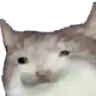 FreakyLeak's Avatar