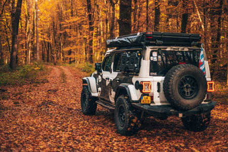 jeep-forest-6.jpg