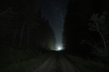 masterpiece, score_9, score_8_up, score_7_up, highly detailed, eerie atmosphere, liminal space, dreamlike, surreal, unsettling, abandoned, overgrown forest path, dirt path, deep woods, nighttime, misty air, faint fog, dimly lit, soft glow, ethereal lighting, distant flickering lights,  lonely road, nostalgia, sense of mystery, abandoned feeling, faint footsteps, glowing eyes in the darkness, slightly distorted perspective, uneasy feeling, otherworldly, photorealistic, cinematic lighting, ultra-detailed textures, damp ground, subtle reflections, night sky with stars barely visible, deep blue tones, shadows stretching unnaturally  
 <lora:add-detail-xl:1> ,<lora:DarkerThanBlackIllustrious:1>, <lora:b3ks1n:0.3>, b3ks1n,