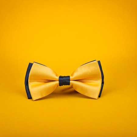 (bow_tie_showcase)__lora_44_bow_tie_showcase_1.1__Yellow_background,__high_quality,_professional,_highres,_amazing,_dramatic,__(_20240627_211320_m.2d5af23726_se.3228259396_st.20_c.7_1024x1024.webp