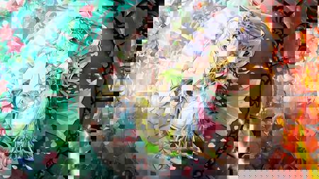yu30387425071713629's Avatar