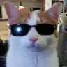 Tanakakung's Avatar