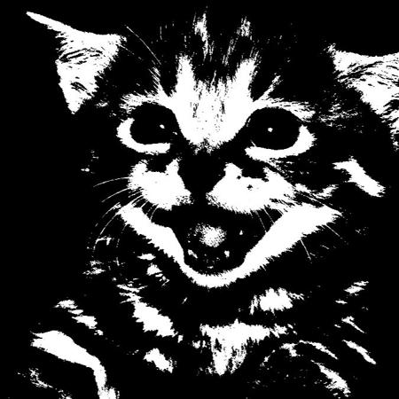pand3m1c's Avatar