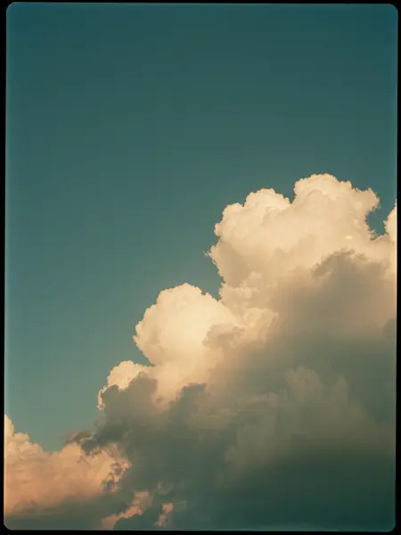 Analog Photography - Film Grain