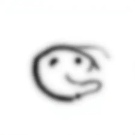 Curse - Do Not Use - For Testing Purpose Only