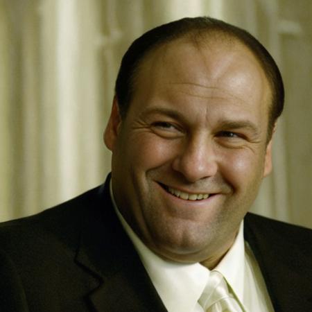 a picture of TonySoprano smiling, wearing a suit, <lora:TonySoprano:1>