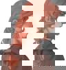 bobsikov