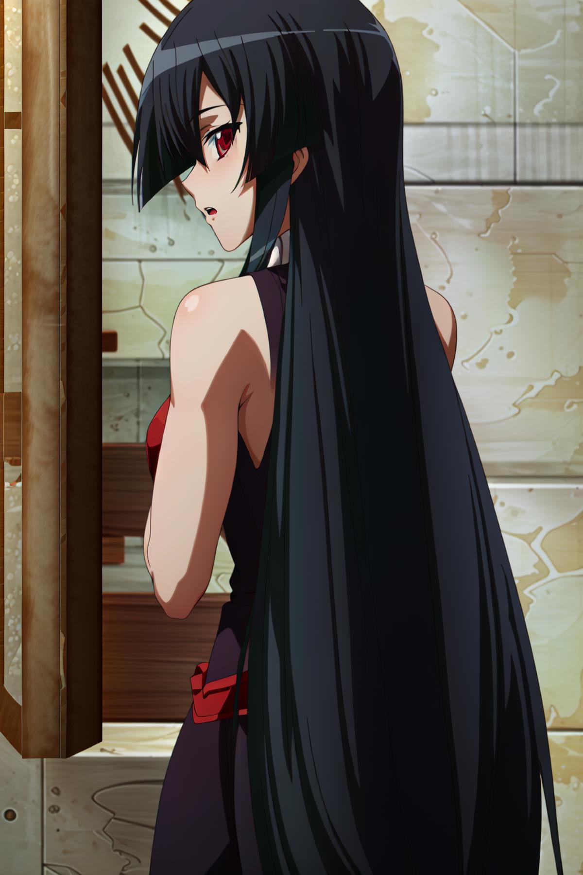 Akame | Akame Ga Kill! image by OG_Turles