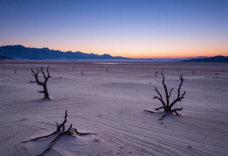 the silent desolation of a desert