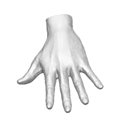 pp_hands01_01.png