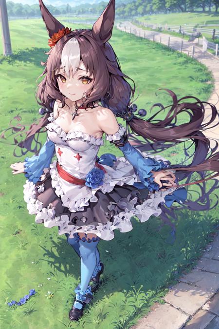 masterpiece, best quality,
yamanin zephyr \(umamusume\),
standing, from above, dutch angle, closed mouth,  walking,
wind, grass, track,
hair ornament, red scrunchie, choker, necklace, blue gloves, detached sleeves, long sleeves, bare shoulders, blue sleeves, white dress, strapless dress, frilled dress, flower, frills, blue thighhighs, black footwear,
<lora:yamanin_zephyr_loha:0.7>