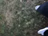 galacticspiders77's Avatar