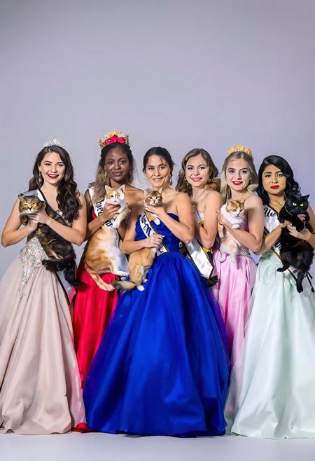 Ms World ballgown competition, five adult beautiful women of various nationalities lined up in a diagonal  row, diagonal view, dynamic angle, different breed of show cat held by each woman,, focus on cats and faces