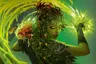disert_fox's Avatar