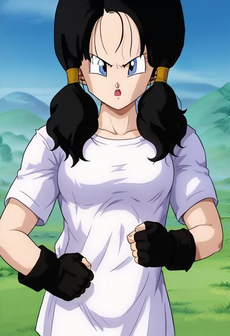 Videl (dbz) V1