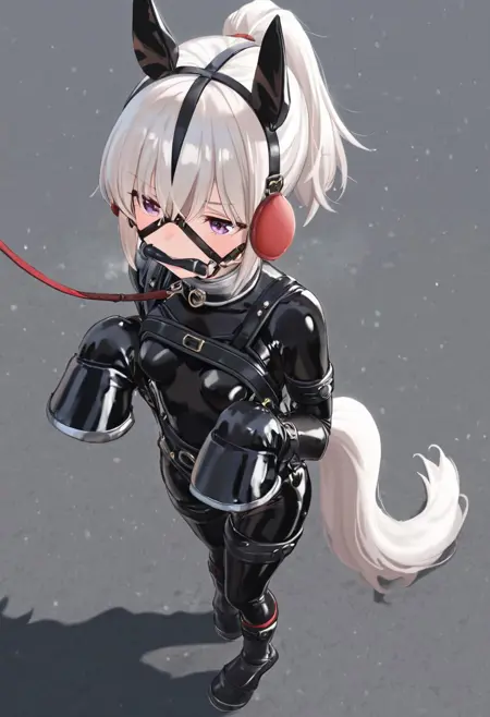 PHBS Ponyplay Harness Body Suit