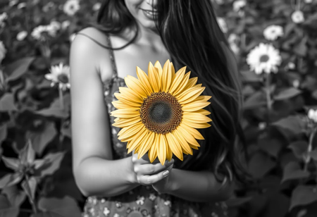 Selective Colouring photo of woman holding a sunflower, yellow sunflower, monochrome, garden in background