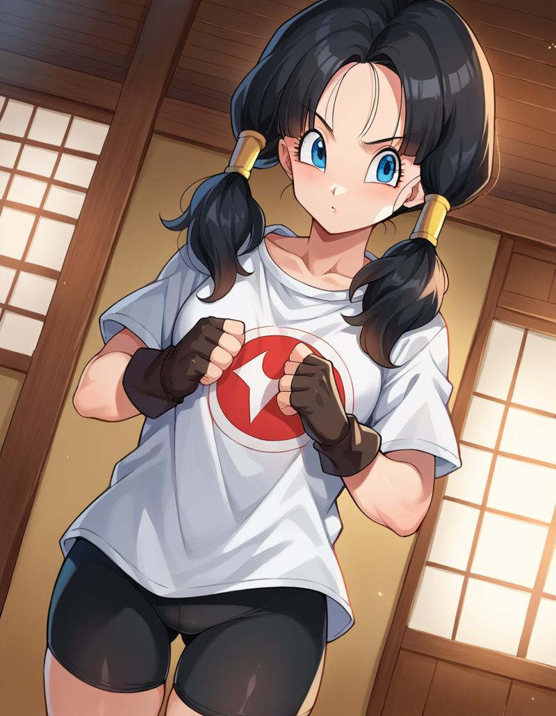 videl-325bd-1481049625.png