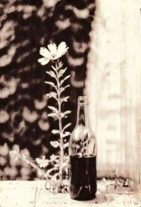 lith_argenta_BN119w_normal, instagram photo,a bottle with a flower,  hard shadows, film grain