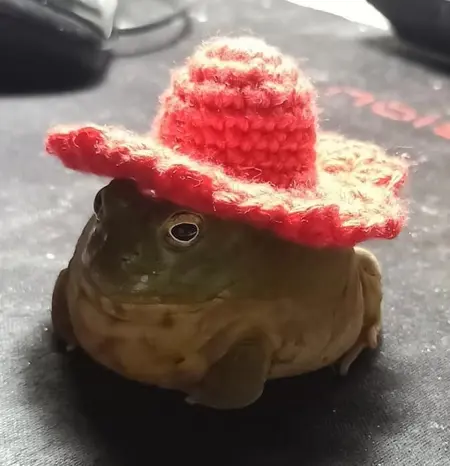 K0tEHOT's Avatar