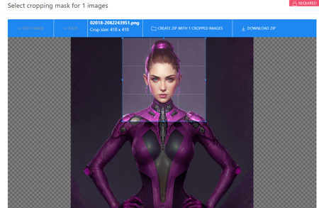 Web Bulk Image Cropper v1.0