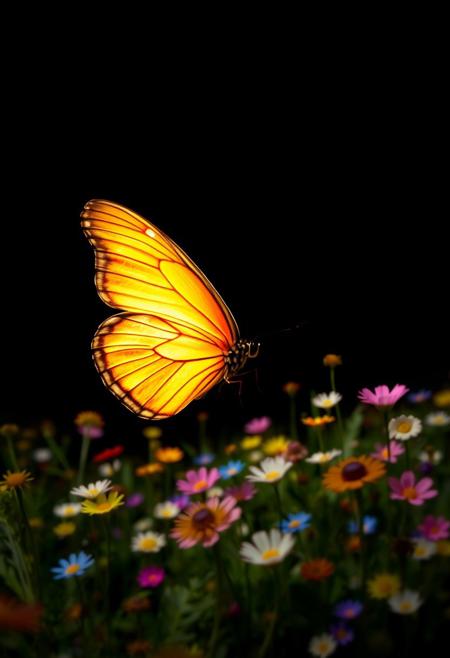 A delicate butterfly's glowing side profile silhouetted against a lush meadow, its wings spread wide as if embracing the vibrant blooms within. A kaleidoscope of colors - yellows, pinks, blues, and whites - dance across the landscape, set against a deep black background that accentuates the butterfly's ethereal glow.