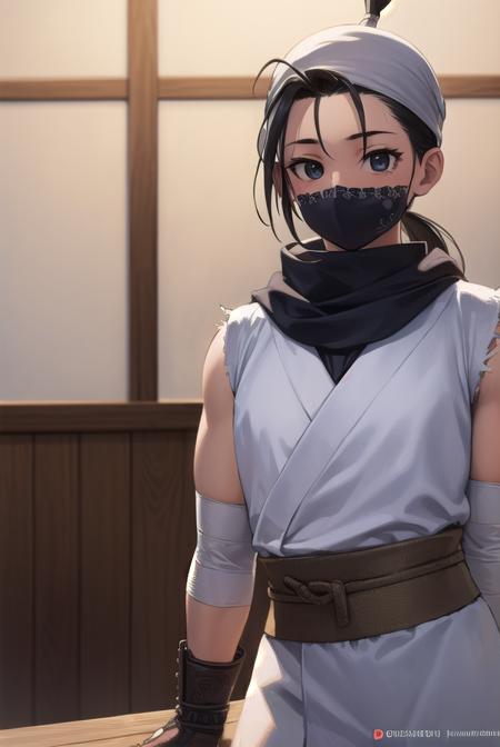 ibuki, (black eyes:1.5), black hair, long hair, ponytail, bandages, bandana, covered mouth, fingerless gloves, gloves, half mask, hip vent, japanese clothes, mask, mouth mask, ninja,