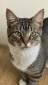 Praquismsnenicos's Avatar
