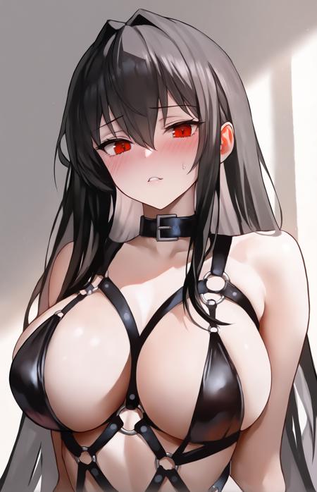 BDSM O-Ring Harness for Illustrious v1.0