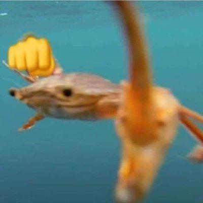 lilnuggiex's Avatar