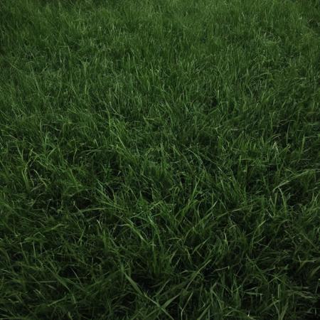 <lora:SDXL_Grass_texture_Sa_May:1> grass dark