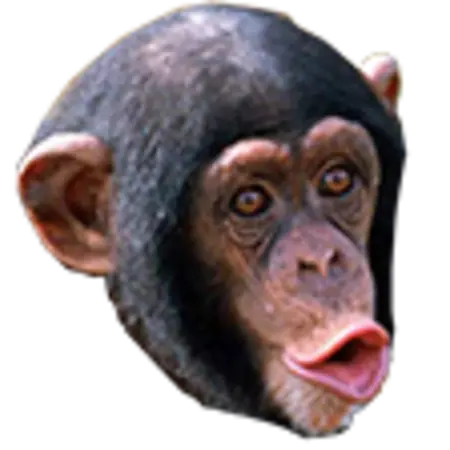 malishisa's Avatar